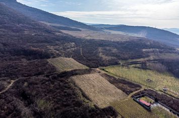 Teren Extravilan de vanzare SIRIA - Arad anunturi imobiliare Arad