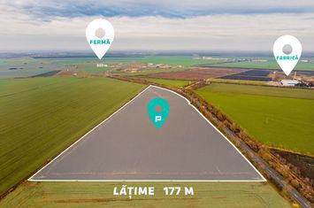 Teren la sosea cu 420 m front stradal anunturi imobiliare Arad