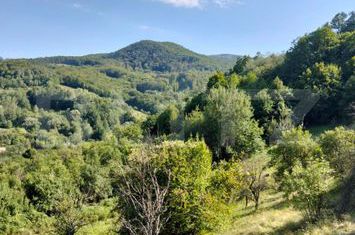 Teren de vanzare POIANA AMPOIULUI - Alba anunturi imobiliare Alba
