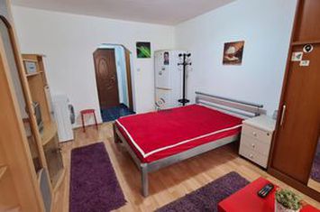 Garsonieră de vanzare BLASCOVICI - Timis anunturi imobiliare Timis