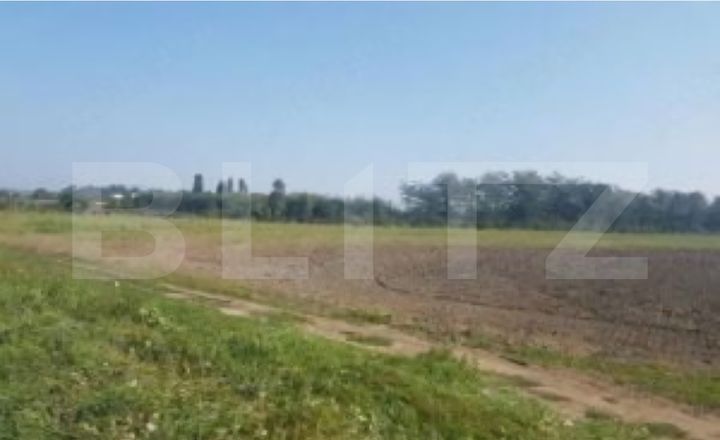 Teren de vanzare MALU MARE - Dolj anunturi imobiliare Dolj