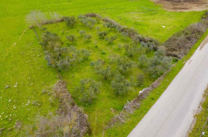 Teren agricol 812 mp în Mesotopos (Kavala) anunturi imobiliare Grecia