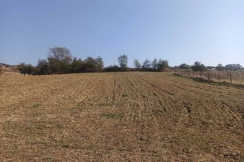 Teren construibil 4.200 mp în Lefkonas Serres anunturi imobiliare Grecia