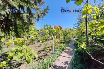 Casă - 6 camere de vanzare IASI - Iasi anunturi imobiliare Iasi