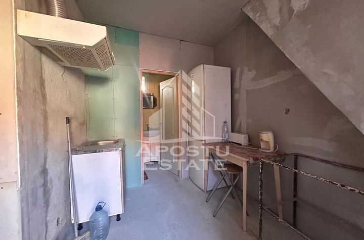 Apartament cu 1 camera la curte comuna cu putini locatari, in Balcescu anunturi imobiliare Timis