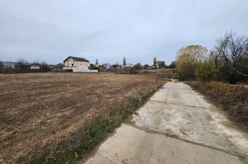 Teren Intravilan de vanzare 23 AUGUST - Bucuresti anunturi imobiliare Bucuresti