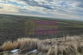 Teren Mihailesti E70- DN6 langa Dovinot. anunturi imobiliare Giurgiu