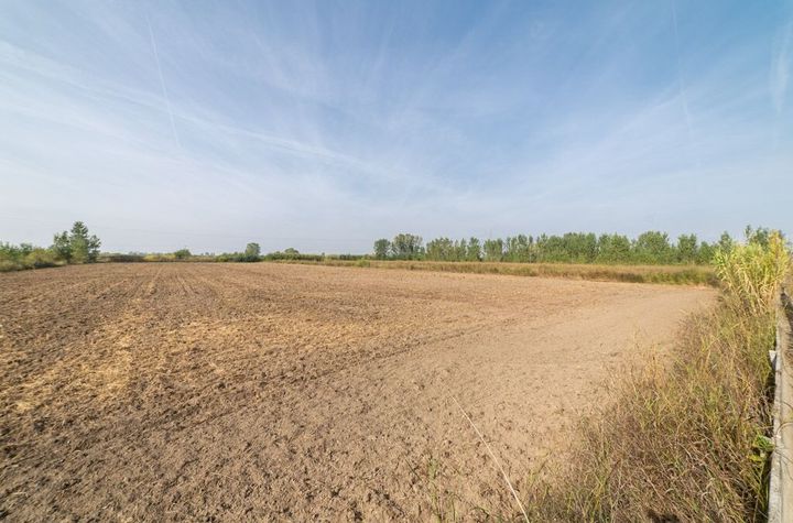 Teren agricol 14.718 mp în Chrisochori, Nestos anunturi imobiliare Grecia