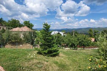 VILA CU VEDERE SUPERBA  - CARPATII DE CURBURA-VALENII DE MUNTE!* anunturi imobiliare Prahova