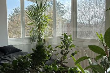 Apartament 3 camere de vanzare TARGU MURES - Mures anunturi imobiliare Mures