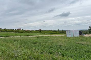 Teren de vanzare PALEU - Bihor anunturi imobiliare Bihor