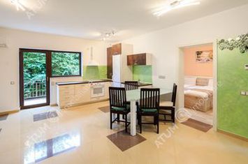 Apartament 3 camere de inchiriat CENTRAL - Sibiu anunturi imobiliare Sibiu