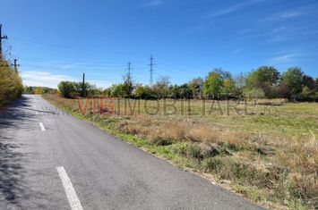 Tancabesti Snagov Mega Image constructie imediata anunturi imobiliare Bucuresti