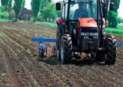 România îşi pregăteşte terenurile agricole pentru străini. Guvernul îi învaţă pe ţărani să vândă scump sau foarte scump