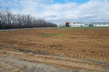 8.000 MP - INDUSTRIAL - POPESTI LEORDENI - CENTURA anunturi imobiliare Bucuresti