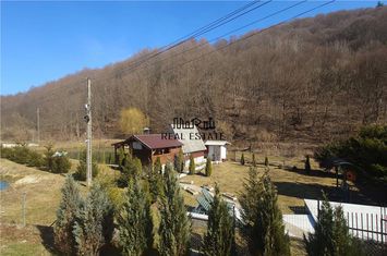 Spațiu comercial de vanzare BUCES - Hunedoara anunturi imobiliare Hunedoara