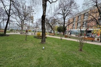 Spațiu comercial de inchiriat IASI - Iasi anunturi imobiliare Iasi