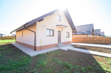 Casa Parter  Proselnici anunturi imobiliare Iasi