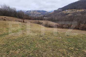 Teren de vanzare ABRUD - Alba anunturi imobiliare Alba