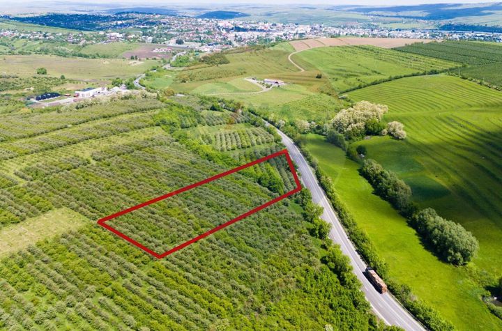 Teren Fălticeni extravilan anunturi imobiliare Suceava