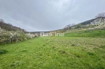 Teren de vanzare DEVA - Hunedoara anunturi imobiliare Hunedoara