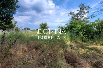 Casă - 5 camere de vanzare DANESTI - Gorj anunturi imobiliare Gorj