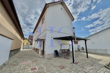 Vilă - 4 camere de vanzare TEREZIAN - Sibiu anunturi imobiliare Sibiu