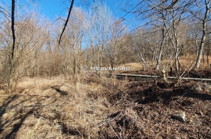 Teren de vânzare în Cornu anunturi imobiliare Prahova
