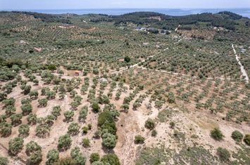 Teren 5.230 mp cu casă legală în Astrida, Thassos anunturi imobiliare Grecia