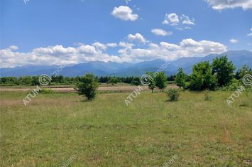 Teren Intravilan de vanzare AVRIG - Sibiu anunturi imobiliare Sibiu