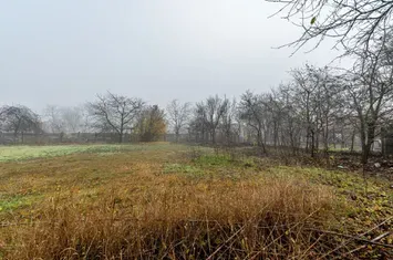 De vânzare Casă cu Grădină Generoasă in Dorobanți anunturi imobiliare Arad