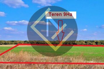 Teren 9Ha -> 16Ha Ha Intravilan , Exit A3 Snagov Ghermanesti Bucuresti-Ploiesti anunturi imobiliare Bucuresti