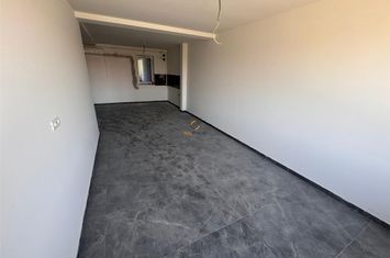 Apartament 2 camere de vanzare CENTRAL - Timis anunturi imobiliare Timis