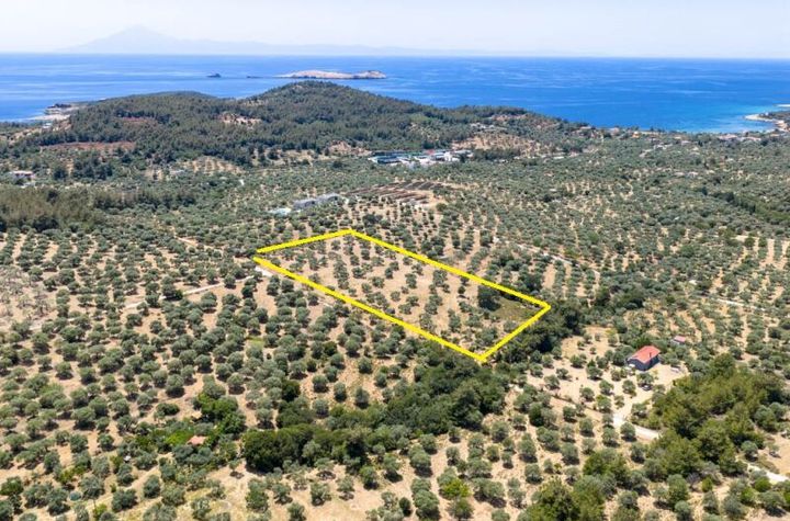Teren construibil 12.390 mp în Astrida, Thassos anunturi imobiliare Grecia