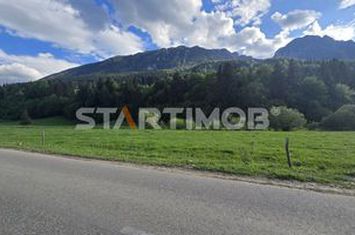 Teren intravilan Zarnesti Plaiul Foii anunturi imobiliare Brasov