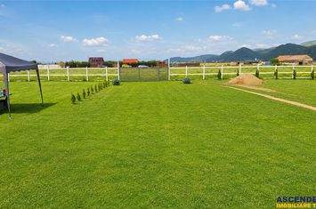 Teren Extravilan de vanzare EXTERIOR EST - Brasov anunturi imobiliare Brasov