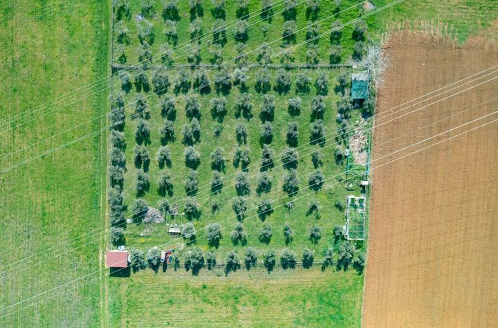 Teren agricol 3.353 mp în Kiria, lângă drumul provincial anunturi imobiliare Grecia