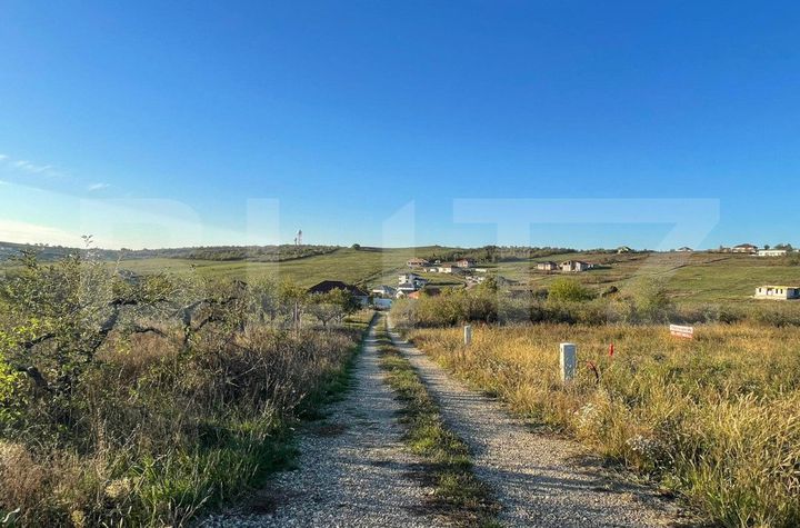Teren de vanzare SALDABAGIU DE MUNTE - Bihor anunturi imobiliare Bihor