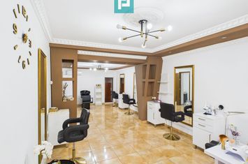 Casă cu spațiu comercial Arad, calea Aurel Vlaicu anunturi imobiliare Arad