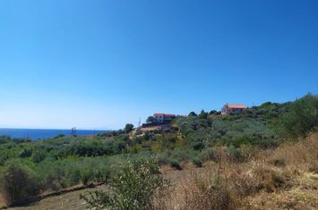 Teren construibil 4987 mp în Folia, 300 m de mare anunturi imobiliare Grecia