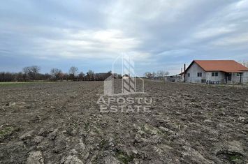 Teren Intravilan Dragsina 2200 Mp anunturi imobiliare Timis