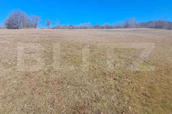 Teren de vanzare ALMASU MARE - Alba anunturi imobiliare Alba