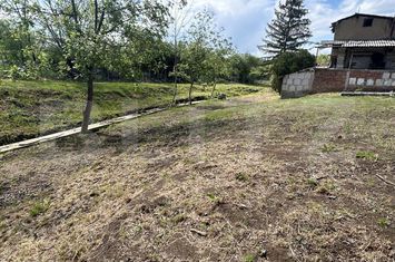 Teren de vanzare IORGA - Bihor anunturi imobiliare Bihor