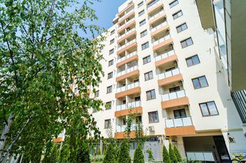 Apartament de inchiriat 1 camera Centru-Palas anunturi imobiliare Iasi