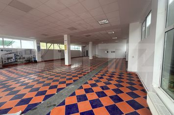 Spațiu industrial de inchiriat GAESTI - Dambovita anunturi imobiliare Dambovita