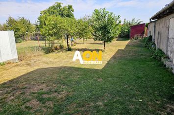 Casa 4 camere, 2 bai, 2 bucatarii, 1050 mp teren, zona Centru anunturi imobiliare Alba