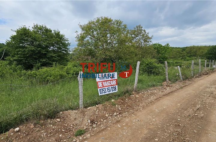 Teren Intravilan de vanzare CENTRAL - Alba anunturi imobiliare Alba