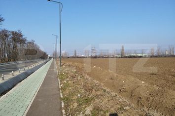 Teren de vanzare BERCENI - Prahova anunturi imobiliare Prahova