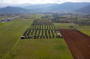Teren agricol 3.353 mp în Kiria, lângă drumul provincial anunturi imobiliare Grecia