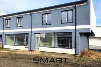 Vilă - 4 camere de vanzare RASINARI - Sibiu anunturi imobiliare Sibiu